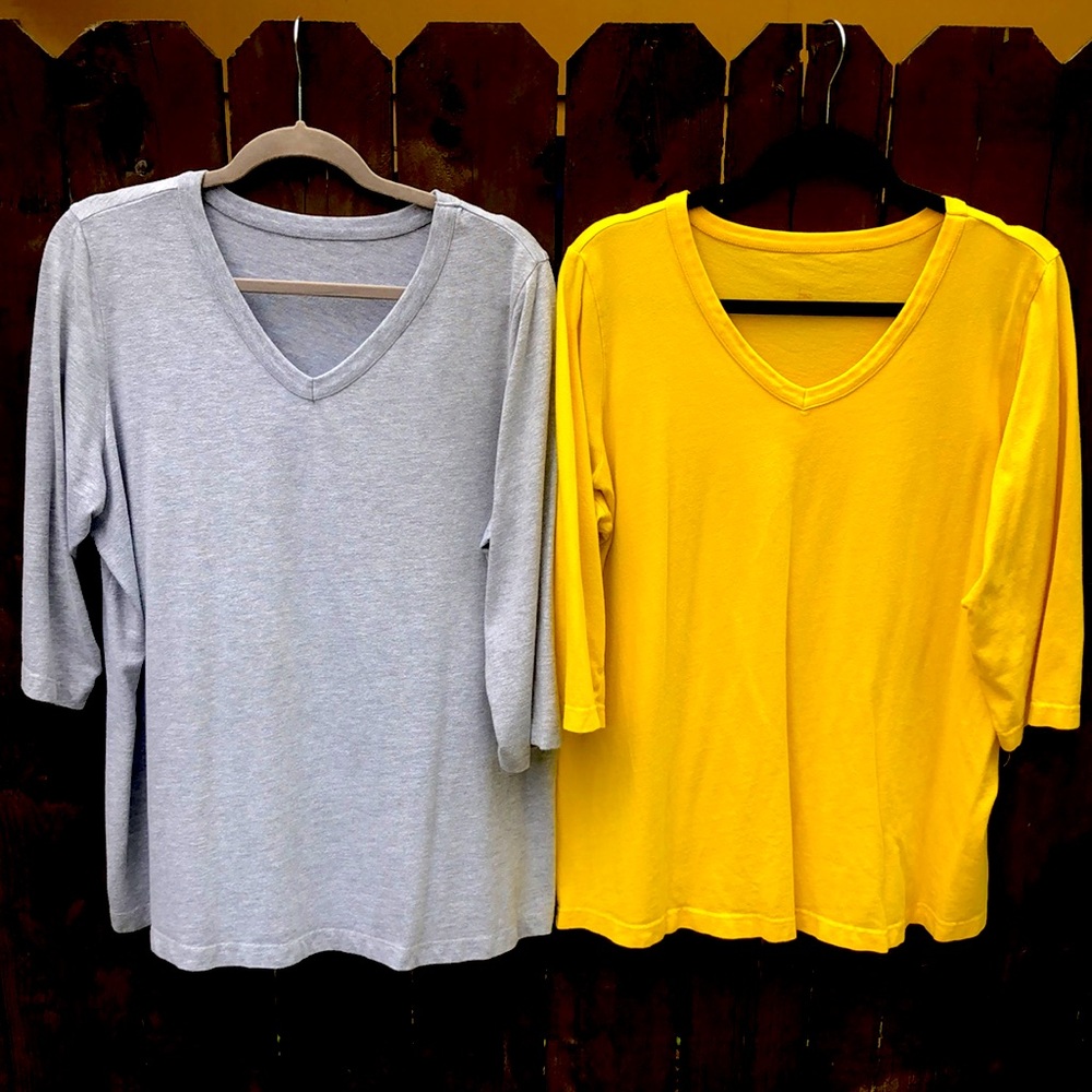 Two Essential V-Neck Tee-Tunics